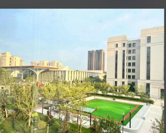 1766113424371025002.png 219da221-a480-41f6-975a-836c96756a34.png